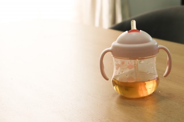 子連れ 旅行 新幹線 持ち物